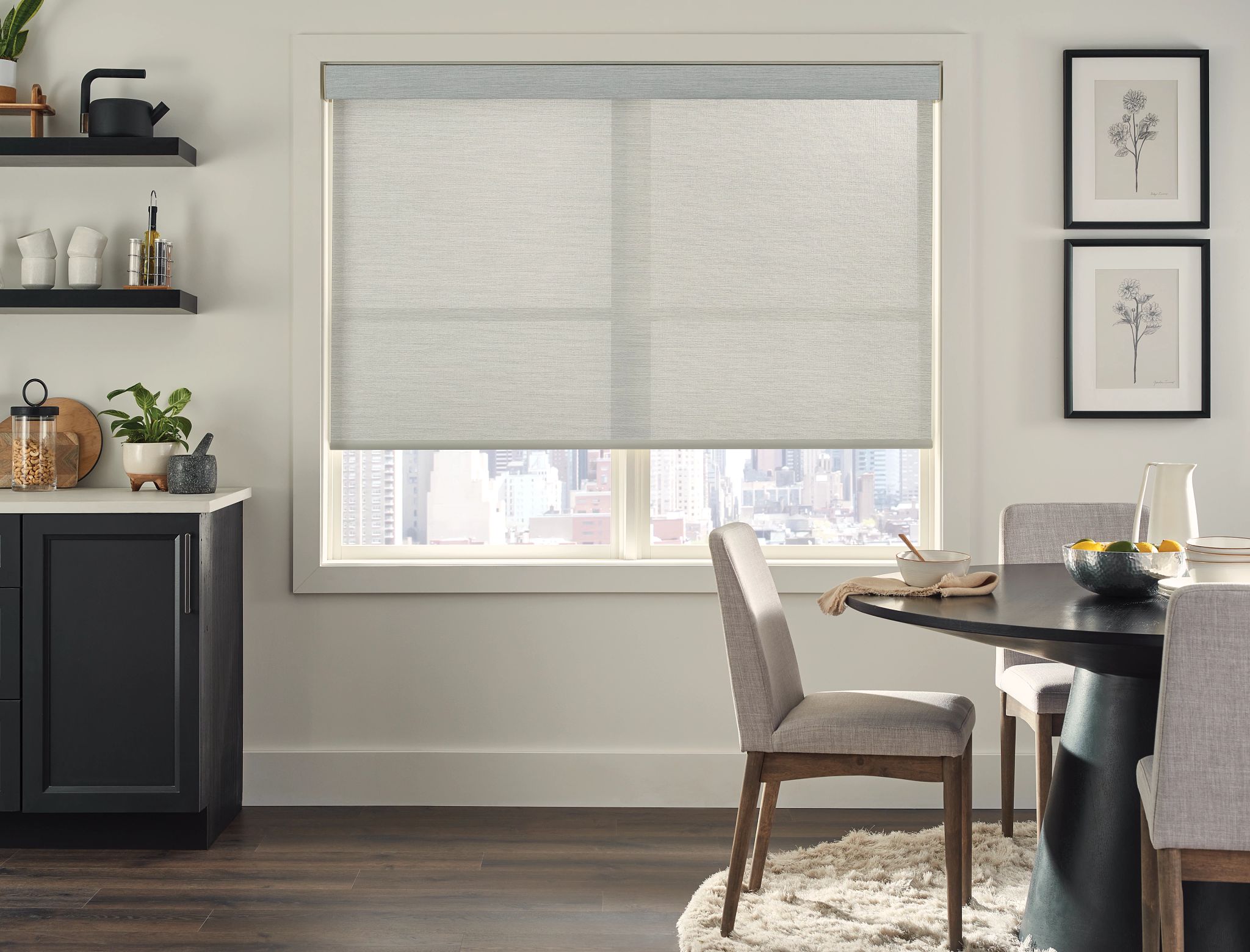 Alta Roller Shades