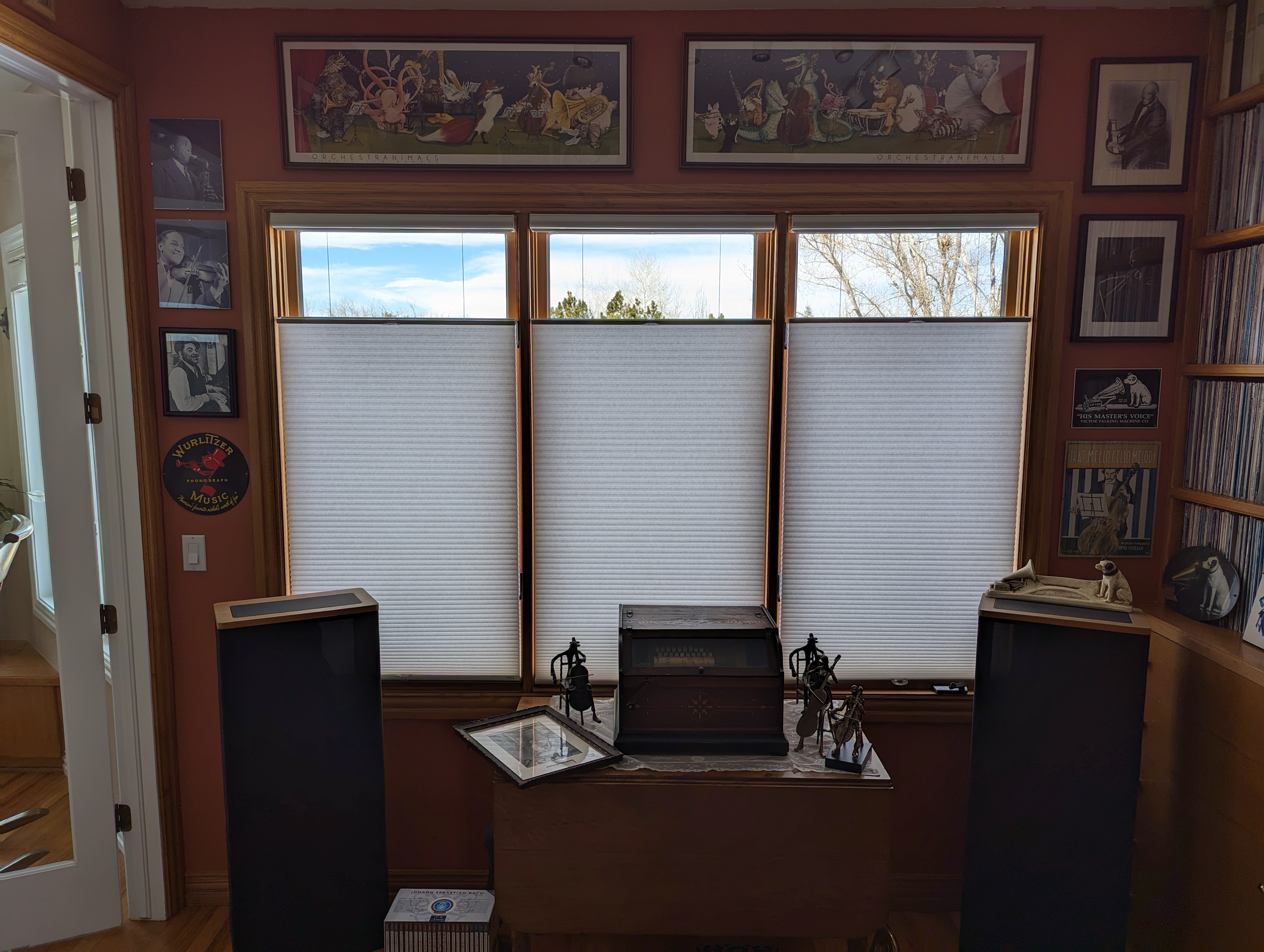 Before | After Photos