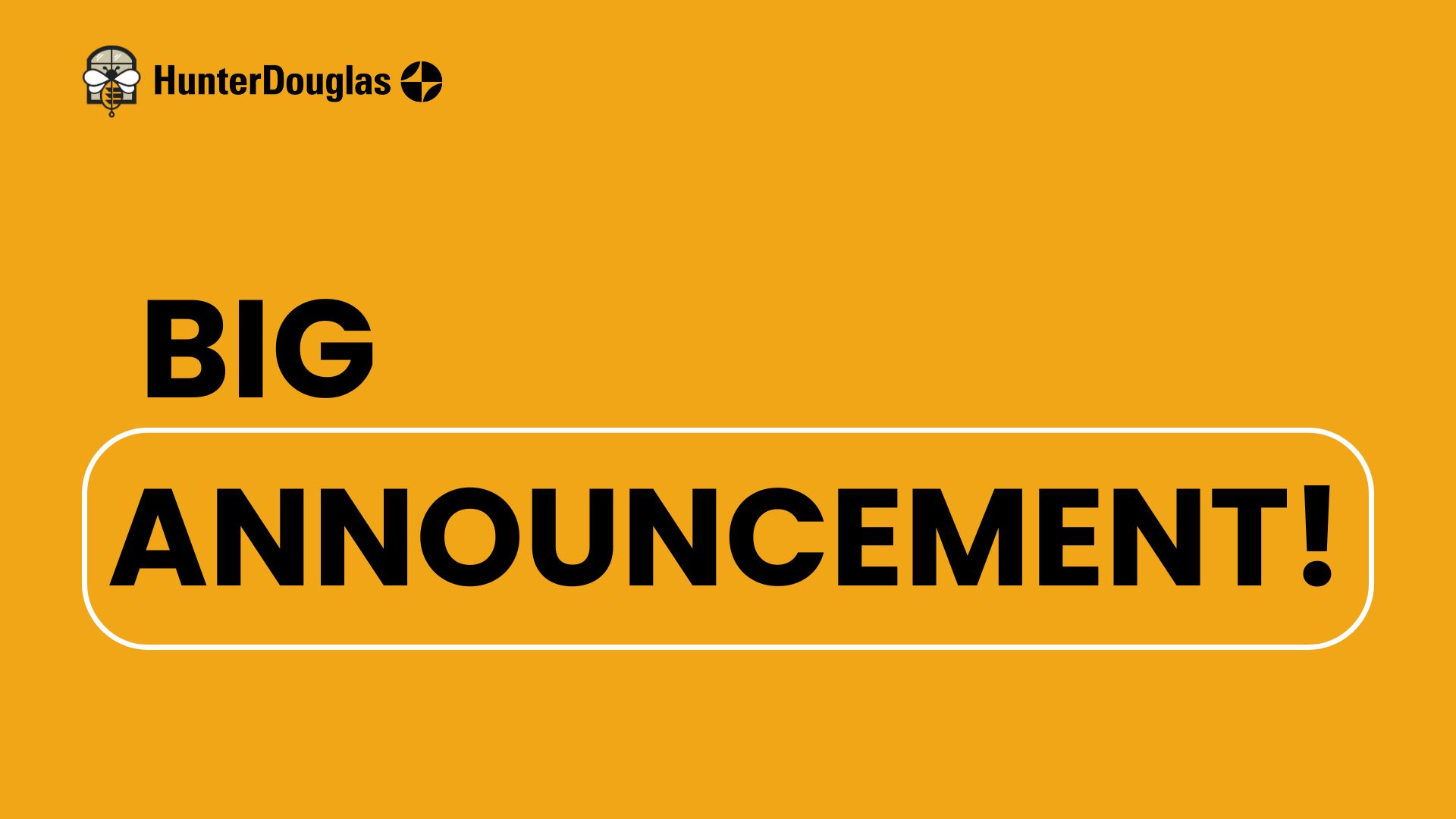 Bumble Bee Blinds of Boulder Authorized Hunter Douglas Dealer in Denver, CO