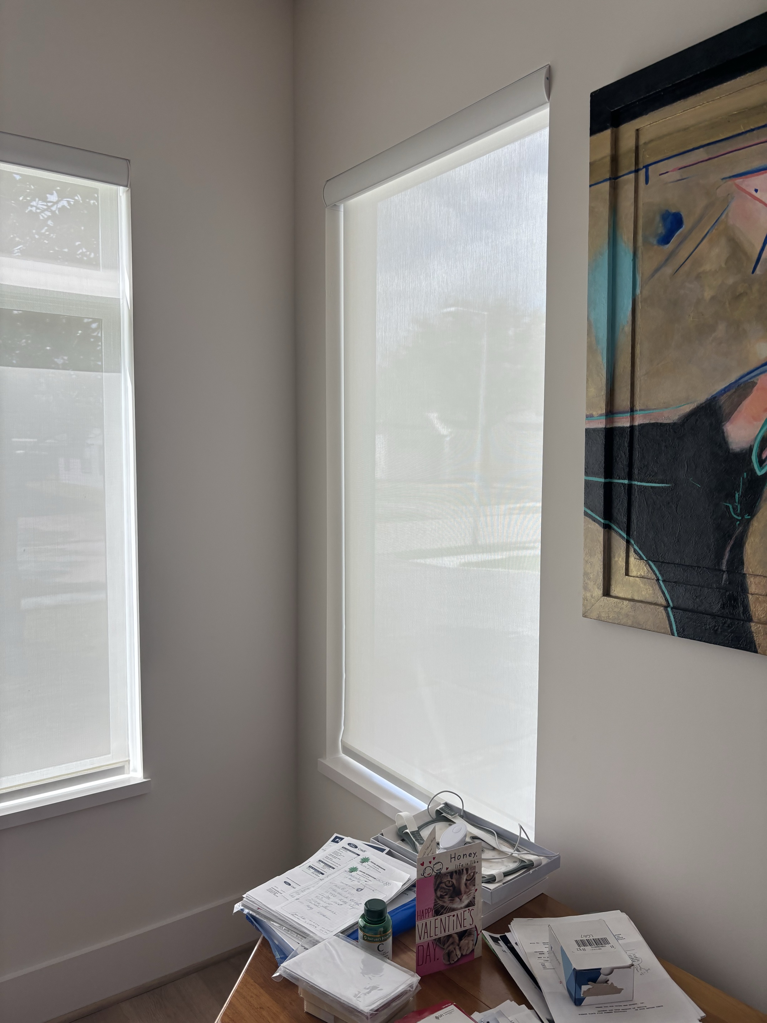 New Install in Garden Oaks Alta Solar Shades